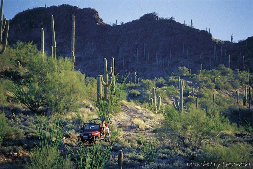 Rancho De Los Caballeros Wickenburg Eksteriør billede