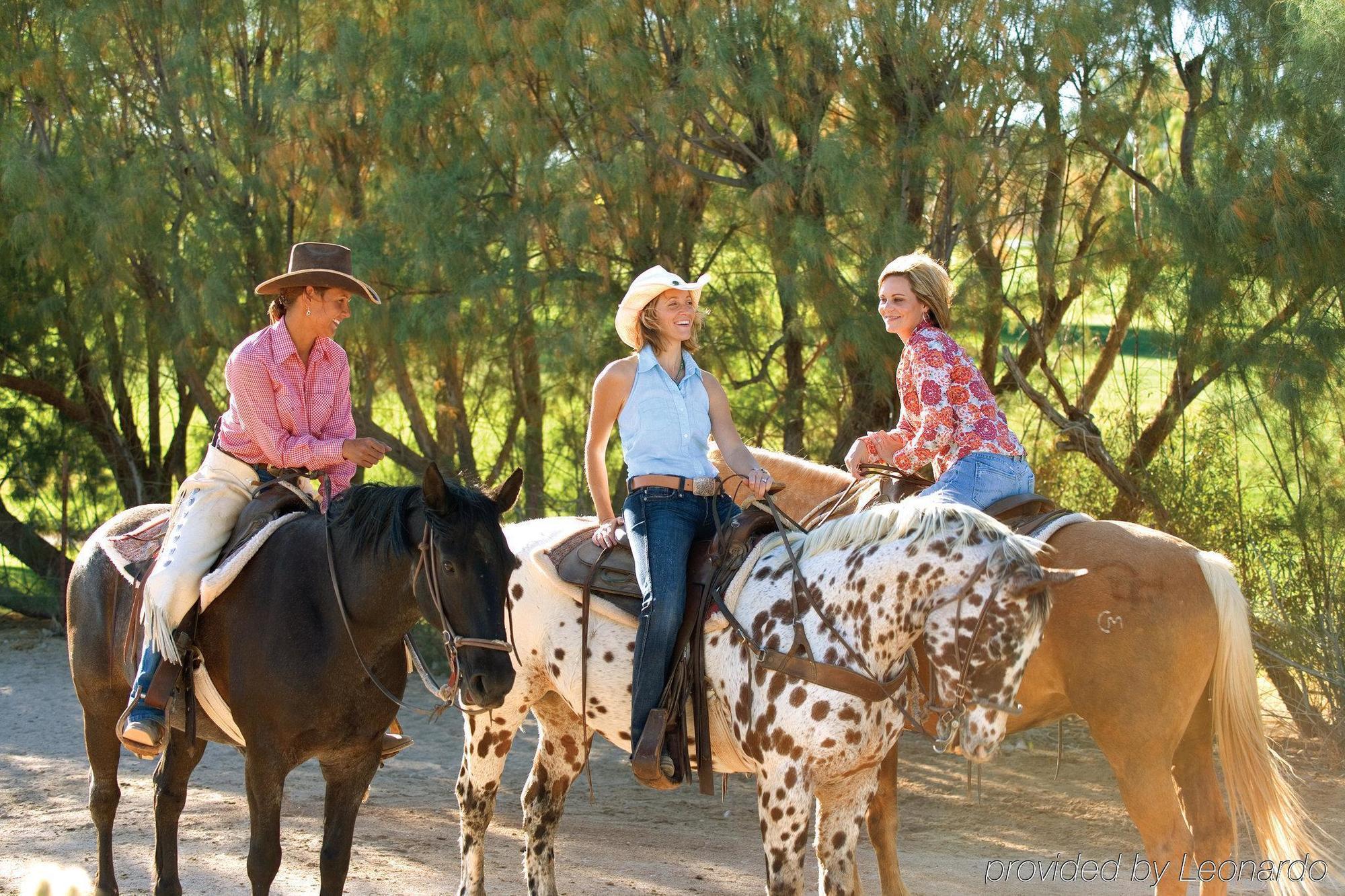 Rancho De Los Caballeros Wickenburg Eksteriør billede